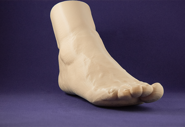 3D Printed Foot