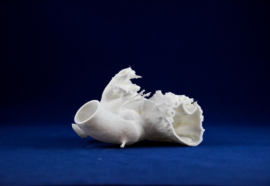 3D Printed Heart