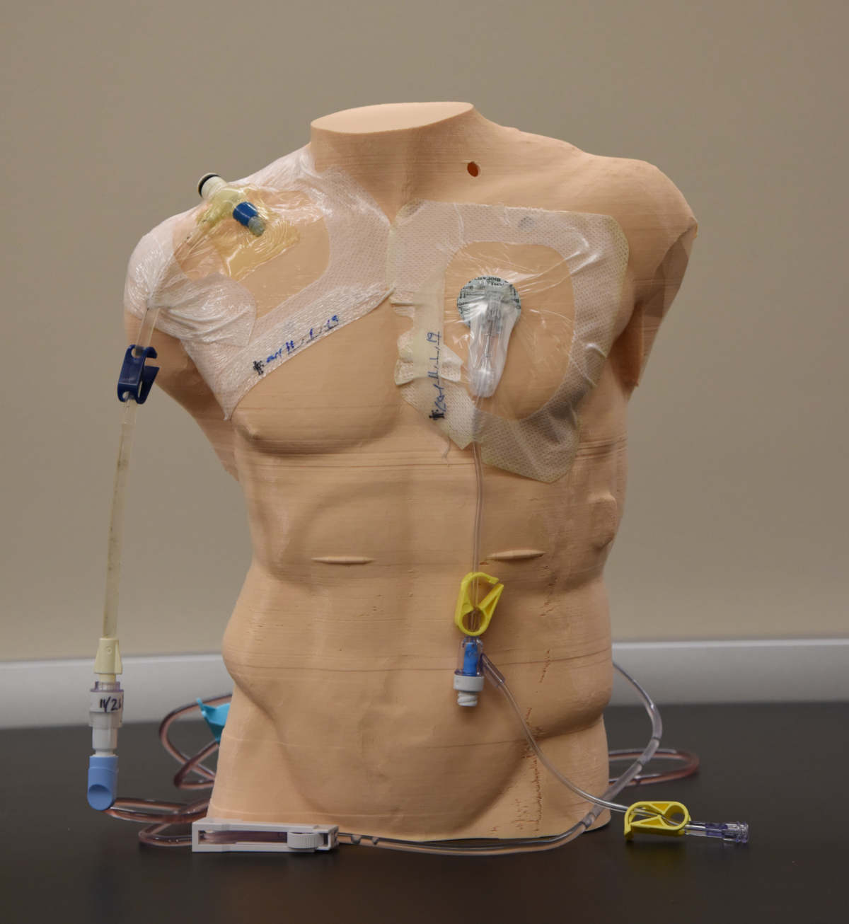 A 3D-printed torso used for training